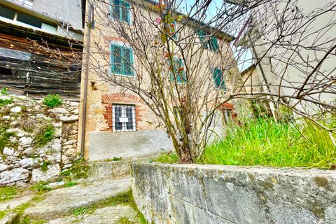 Villa i Pietrasanta, Lucca, Pietrasanta - € 180.000 | Ref: 1754 - foto 3