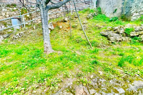 Villa i Pietrasanta, Lucca, Pietrasanta - € 180.000 | Ref: 1754 - foto 7