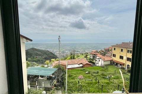 Villa i Pietrasanta, Lucca, Pietrasanta - € 180.000 | Ref: 1754 - foto 19