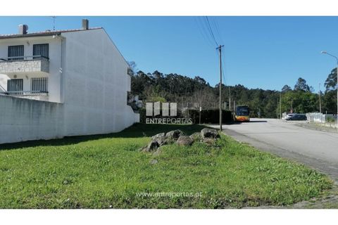 Tomt i Darque, Viana do Castelo, Darque - € 75 000 | Ref: VCC14055 - foto 5