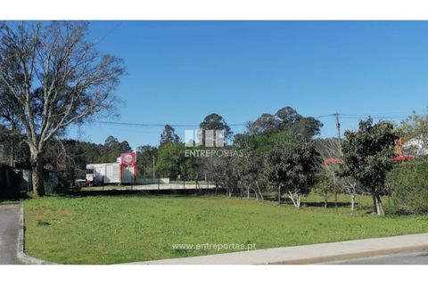 Helårsgrund i Darque, Viana do Castelo, Darque - € 65.000 | Ref: VCC14056 - foto 20