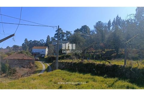 Helårsgrund i Cinfaes, Viseu, Cinfaes - € 35.500 | Ref: MC09494 - foto 2