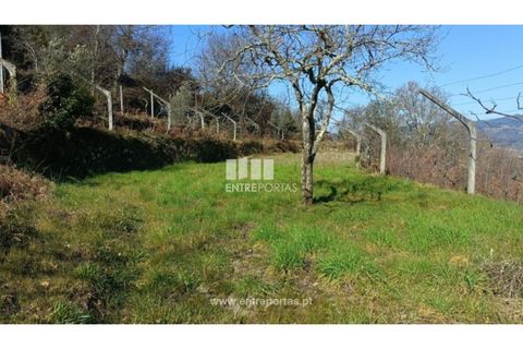 Helårsgrund i Cinfaes, Viseu, Cinfaes - € 35.500 | Ref: MC09494 - foto 8