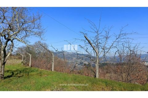 Helårsgrund i Cinfaes, Viseu, Cinfaes - € 35.500 | Ref: MC09494 - foto 3