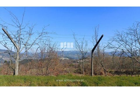 Helårsgrund i Cinfaes, Viseu, Cinfaes - € 35.500 | Ref: MC09494 - foto 9