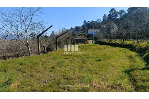 Helårsgrund i Cinfaes, Viseu, Cinfaes - € 35.500 | Ref: MC09494 - foto 6
