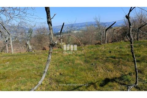 Helårsgrund i Cinfaes, Viseu, Cinfaes - € 35.500 | Ref: MC09494 - foto 14