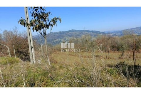 Helårsgrund i Cinfaes, Viseu, Cinfaes - € 35.500 | Ref: MC09494 - foto 15