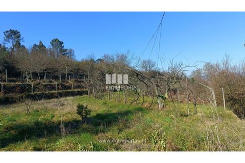 Helårsgrund i Cinfaes, Viseu, Cinfaes - € 35.500 | Ref: MC09494 - foto 16