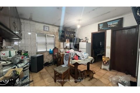 Helårsgrund i Cinfaes, Viseu, Cinfaes - € 35.500 | Ref: MC09494 - foto 12