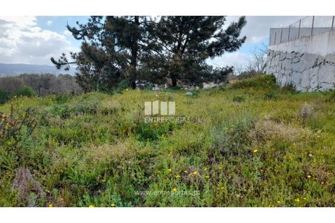 Tomt i Amarante, Porto, Amarante - € 50 000 | Ref: MC09487 - foto 19