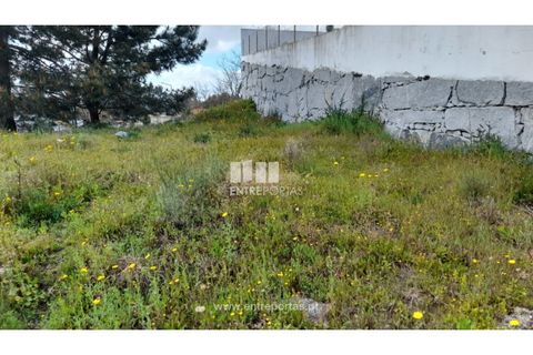 Tomt i Amarante, Porto, Amarante - € 50 000 | Ref: MC09487 - foto 20