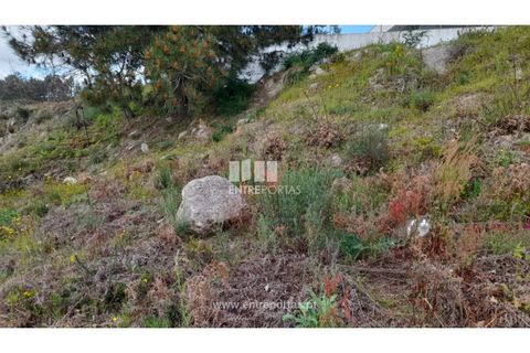 Tomt i Amarante, Porto, Amarante - € 50 000 | Ref: MC09487 - foto 21