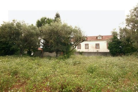 Landejendom i Arganil, Coimbra, Arganil - € 400.000 | Ref: 2036 MR - foto 29