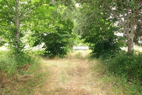 Landejendom i Arganil, Coimbra, Arganil - € 400.000 | Ref: 2036 MR - foto 31
