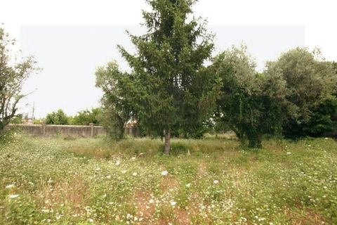 Landejendom i Arganil, Coimbra, Arganil - € 400.000 | Ref: 2036 MR - foto 32