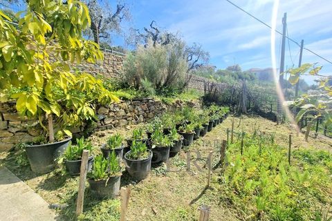 Villa i Bordighera, Imperia, Bordighera - € 750.000 | Ref: 22280 - foto 4