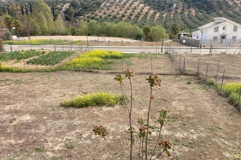 Helårsgrund i Zambra, Cordoba - foto 2