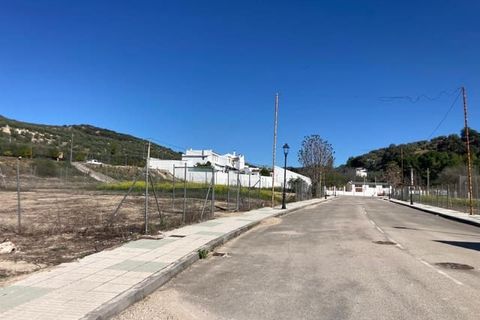 Helårsgrund i Zambra, Cordoba - foto 5