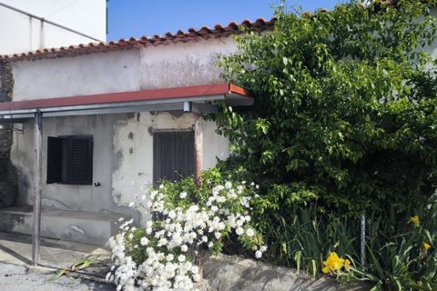 Villa a Proenca-a-Nova, Castelo Branco, Proenca-a-Nova - € 39.500 | Ref: HAB_292 - foto 31