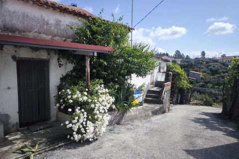 Villa a Proenca-a-Nova, Castelo Branco, Proenca-a-Nova - € 39.500 | Ref: HAB_292 - foto 32