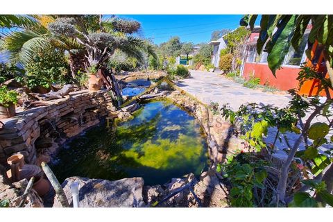Landejendom i Quelfes, Faro, Quelfes - € 1.270.000 | Ref: CAS_FEL - foto 20