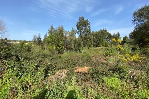 Terra a Serzedo, Porto, Serzedo - € 57.000 | Ref: 040/23 - foto 6