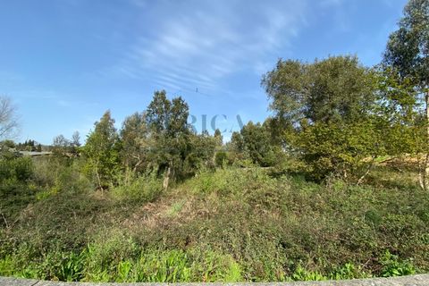 Terra a Serzedo, Porto, Serzedo - € 57.000 | Ref: 040/23 - foto 7