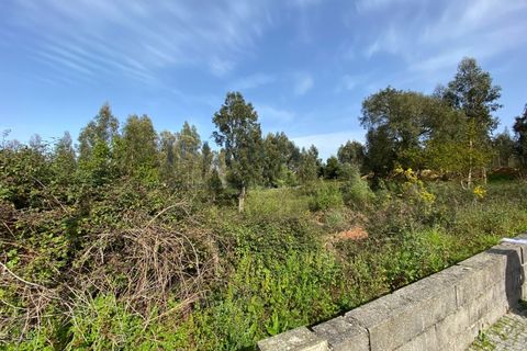 Terra a Serzedo, Porto, Serzedo - € 57.000 | Ref: 040/23 - foto 8