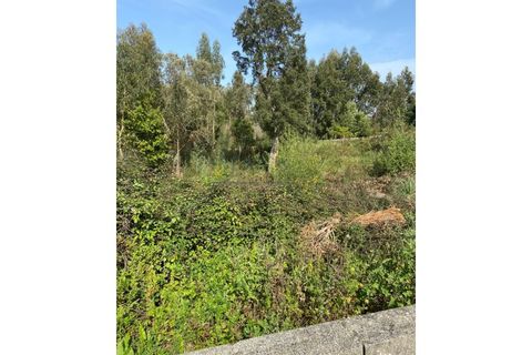 Terra a Serzedo, Porto, Serzedo - € 57.000 | Ref: 040/23 - foto 5