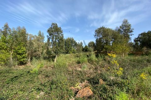 Terra a Serzedo, Porto, Serzedo - € 57.000 | Ref: 040/23 - foto 9
