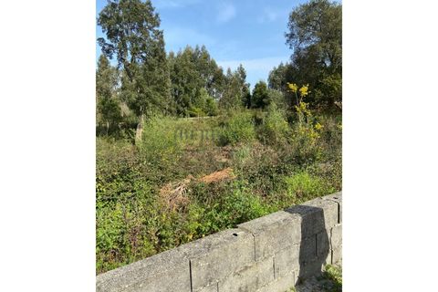 Terra a Serzedo, Porto, Serzedo - € 57.000 | Ref: 040/23 - foto 10