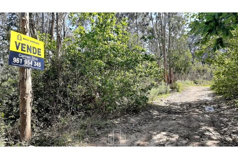 Helårsgrund i Ovar, Aveiro, Ovar - € 17.500 | Ref: 046-OVR - foto 3