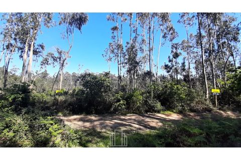Helårsgrund i Ovar, Aveiro, Ovar - € 17.500 | Ref: 046-OVR - foto 6