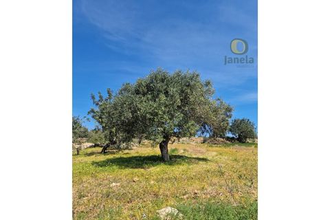 Helårsgrund i Estoi, Faro, Estoi - € 165.000 | Ref: TR13187 - foto 2
