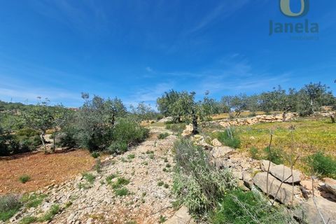Helårsgrund i Estoi, Faro, Estoi - € 165.000 | Ref: TR13187 - foto 3
