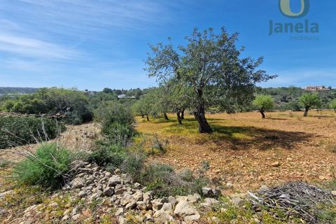 Helårsgrund i Estoi, Faro, Estoi - € 165.000 | Ref: TR13187 - foto 6