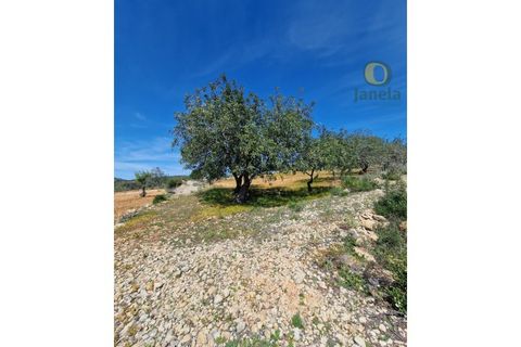 Helårsgrund i Estoi, Faro, Estoi - € 165.000 | Ref: TR13187 - foto 7