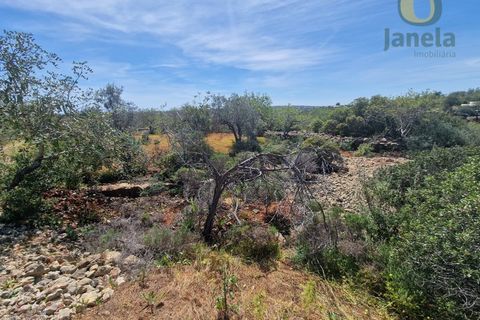 Helårsgrund i Estoi, Faro, Estoi - € 165.000 | Ref: TR13187 - foto 8