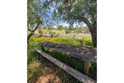 Helårsgrund i Estoi, Faro, Estoi - € 165.000 | Ref: TR13187 - foto 9