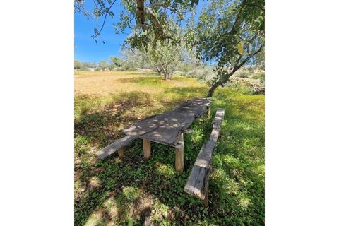 Helårsgrund i Estoi, Faro, Estoi - € 165.000 | Ref: TR13187 - foto 10
