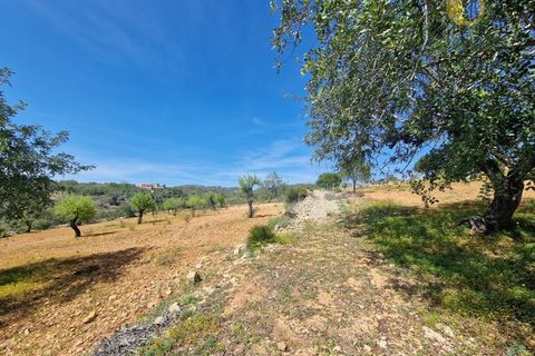 Helårsgrund i Estoi, Faro, Estoi - € 165.000 | Ref: TR13187 - foto 11