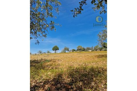 Helårsgrund i Estoi, Faro, Estoi - € 165.000 | Ref: TR13187 - foto 13