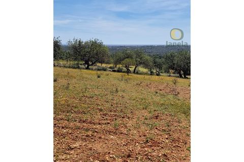 Helårsgrund i Estoi, Faro, Estoi - € 165.000 | Ref: TR13187 - foto 14