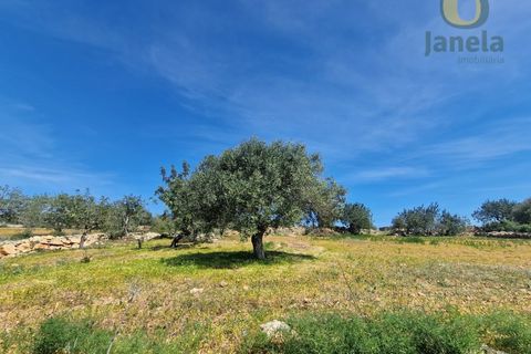 Helårsgrund i Estoi, Faro, Estoi - € 165.000 | Ref: TR13187 - foto 15