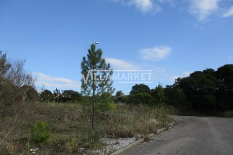 Terra em Abrantes, Santarem, Abrantes - € 548.000 | Ref: JFCGD-02023101CA - foto 7
