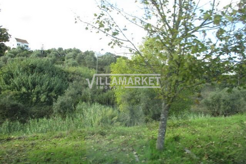 Terra em Abrantes, Santarem, Abrantes - € 548.000 | Ref: JFCGD-02023101CA - foto 11