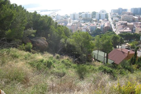 Helårsgrund i L'Estartit, Gerona - foto 4