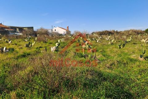 Helårsgrund i Torres Vedras, Lisbon, Torres Vedras - € 200.000 | Ref: M3112 TVD - foto 2