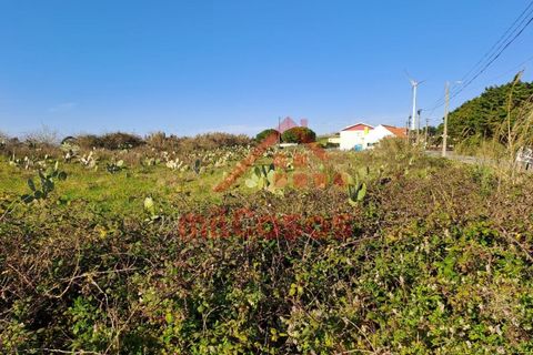 Helårsgrund i Torres Vedras, Lisbon, Torres Vedras - € 200.000 | Ref: M3112 TVD - foto 3
